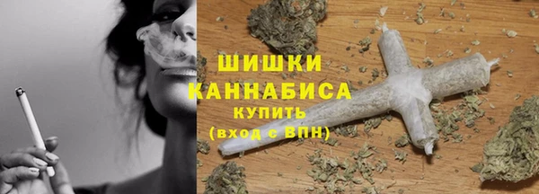 шишки Балабаново