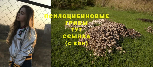 прущая мука Балахна