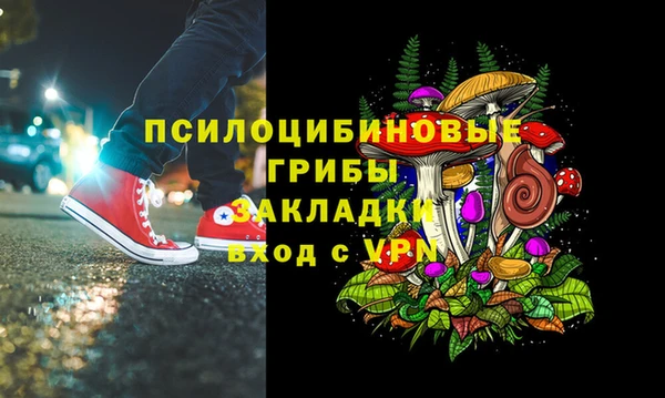 шишки Балабаново