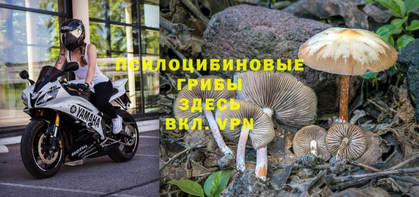 прущая мука Балахна